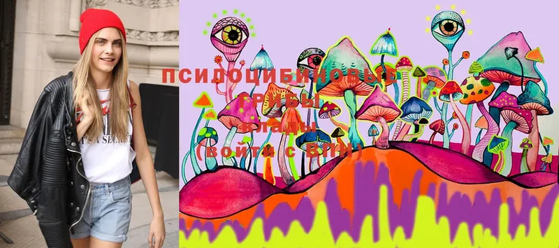 Псилоцибиновые грибы MAGIC MUSHROOMS  ОМГ ОМГ маркетплейс  Маркс  магазин   